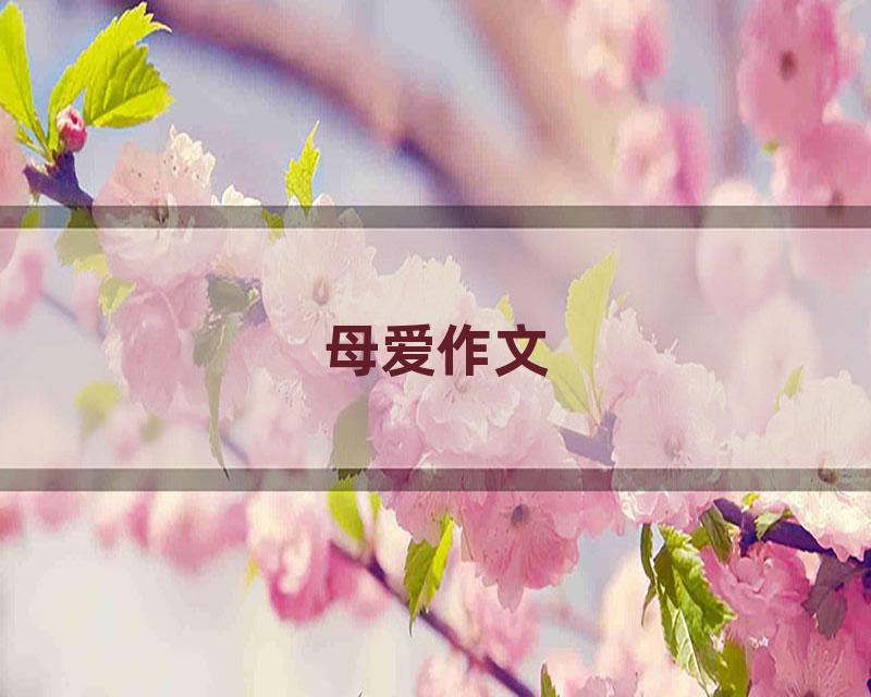 母爱作文