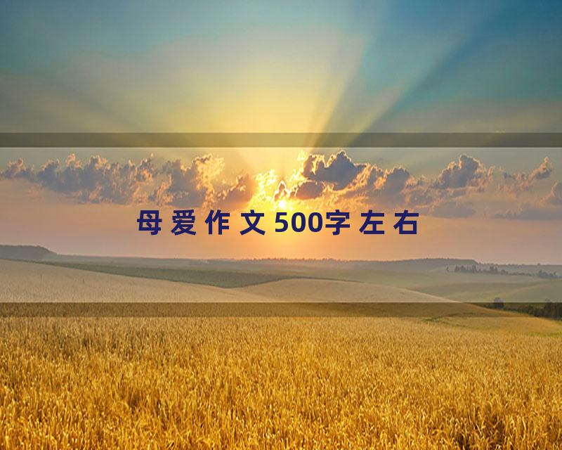 母爱作文500字左右