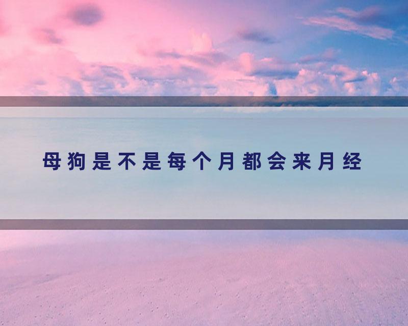 母狗是不是每个月都会来月经