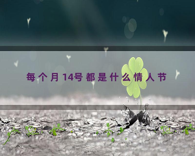 每个月14号都是什么情人节