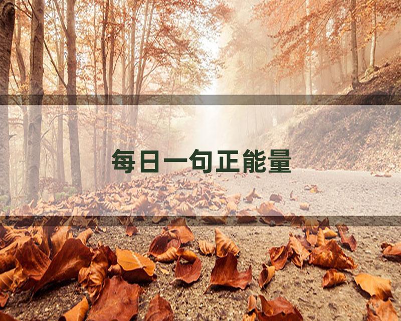 每日一句正能量