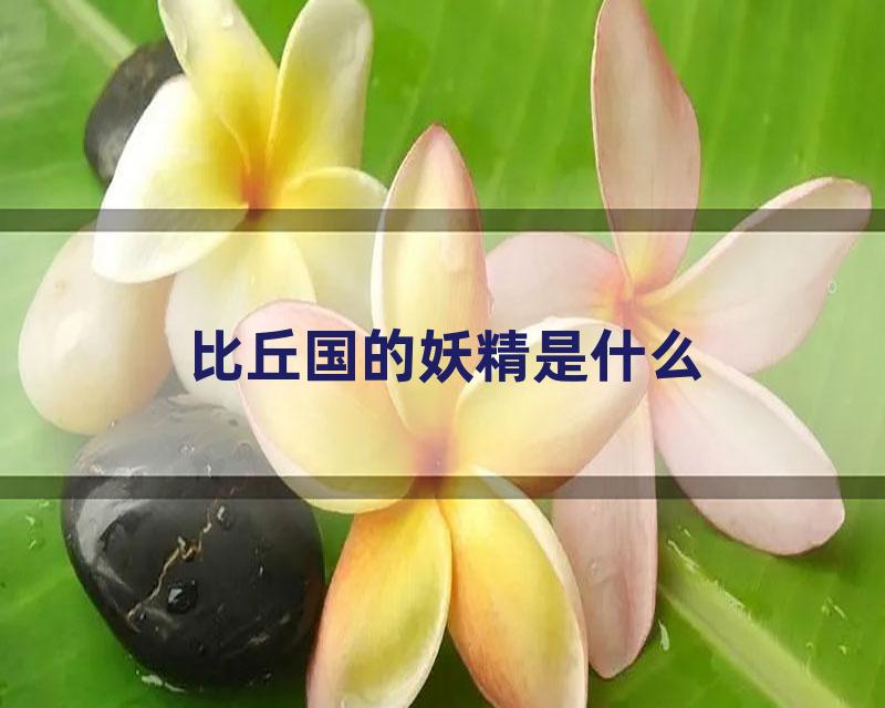 比丘国的妖精是什么