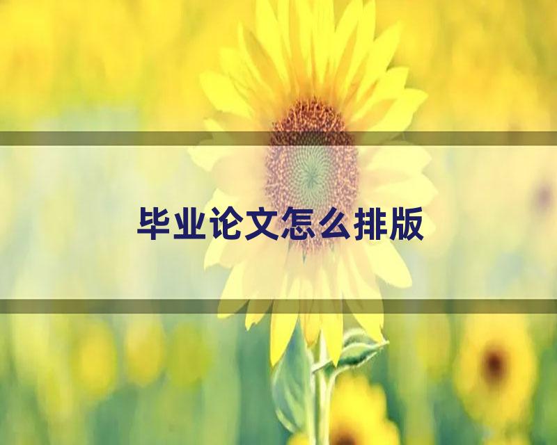 毕业论文怎么排版