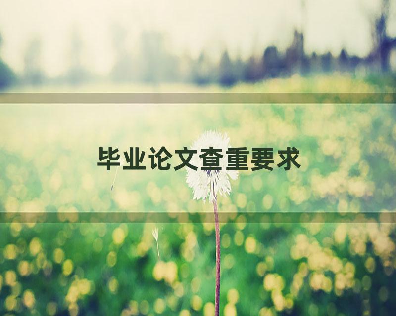 毕业论文查重要求