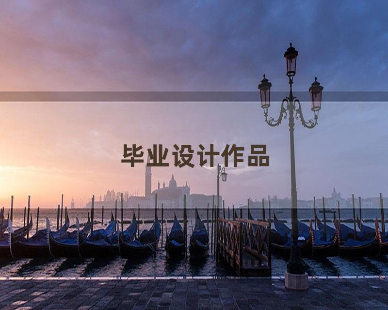 毕业设计作品