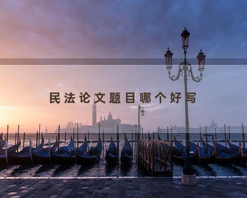 民法论文题目哪个好写
