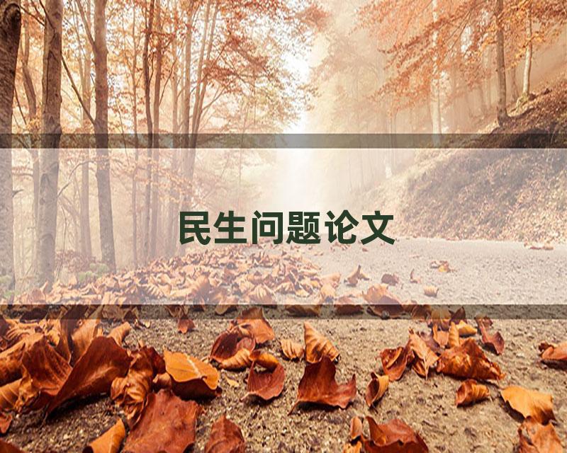 民生问题论文