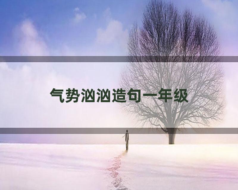 气势汹汹造句一年级