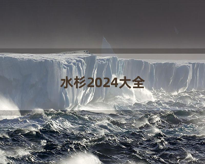 水杉2024大全