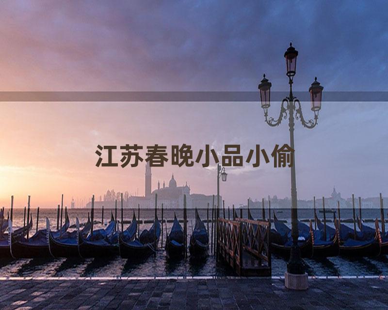 江苏春晚小品小偷