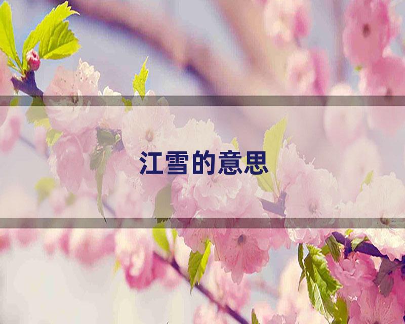 江雪的意思
