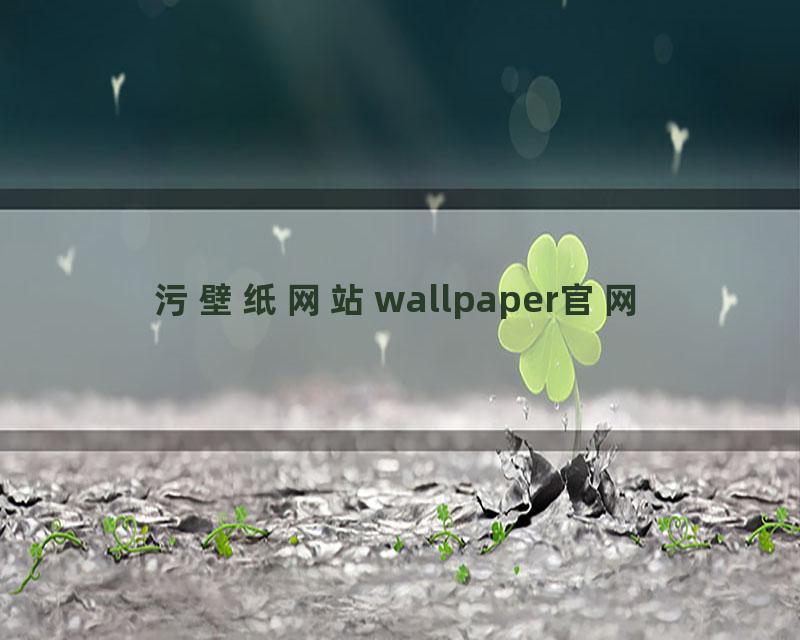 污壁纸网站wallpaper官网