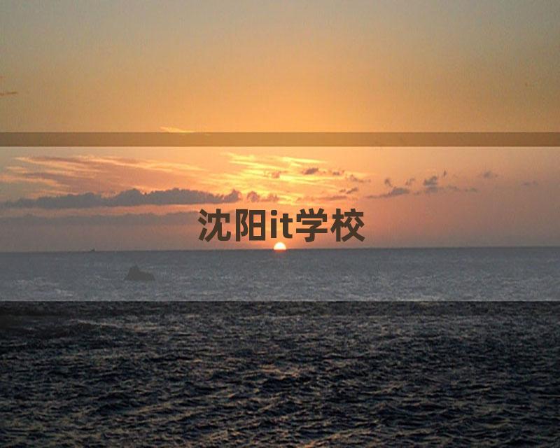 沈阳it学校