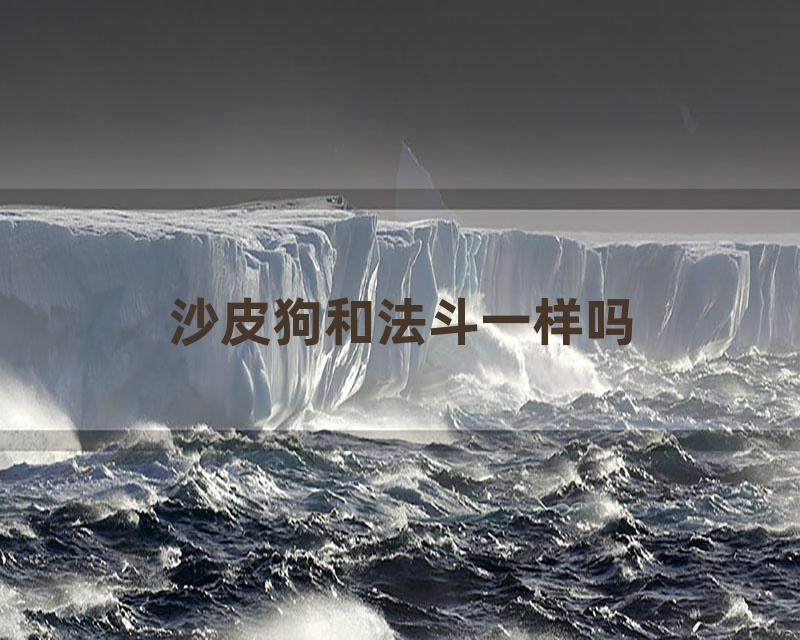 沙皮狗和法斗一样吗