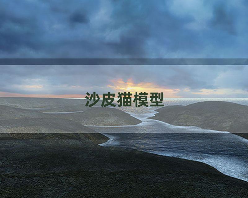 沙皮猫模型
