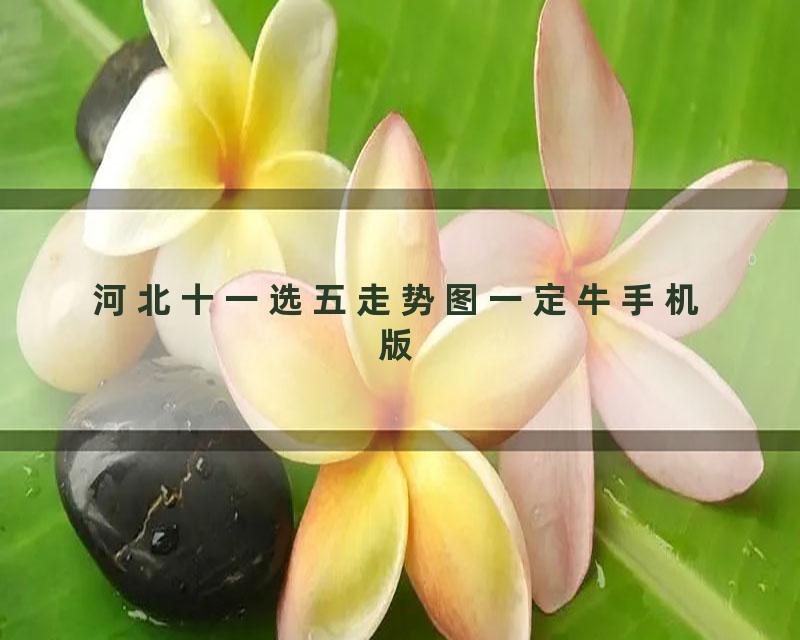 河北十一选五走势图一定牛手机版