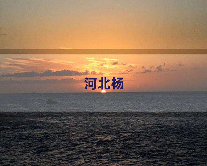 河北杨