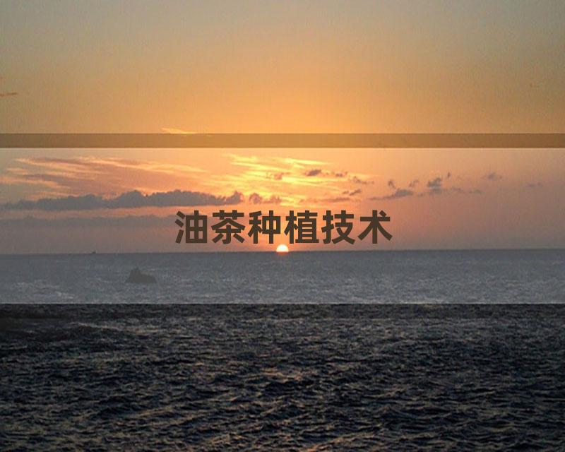 油茶种植技术