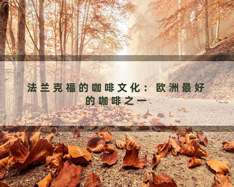 法兰克福的咖啡文化：欧洲最好的咖啡之一