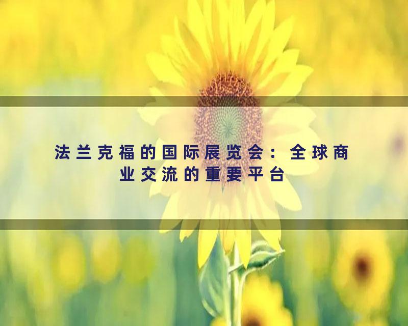 法兰克福的国际展览会：全球商业交流的重要平台