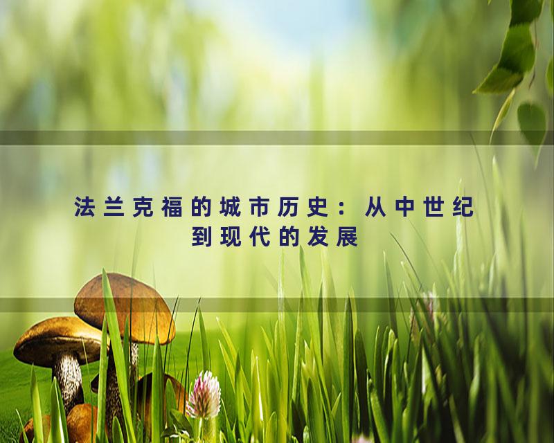 法兰克福的城市历史：从中世纪到现代的发展