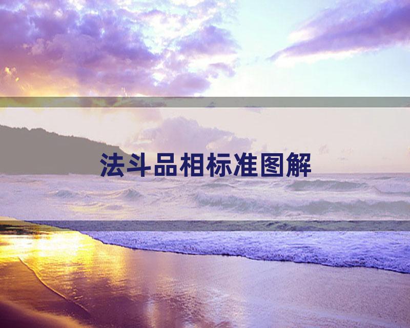 法斗品相标准图解