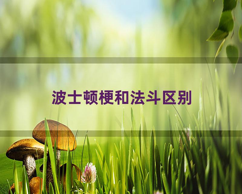 波士顿梗和法斗区别