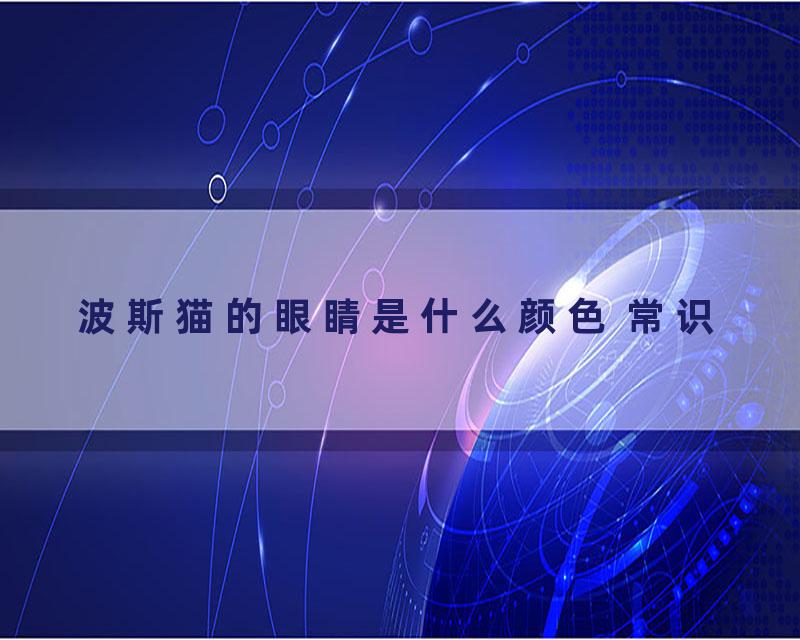 波斯猫的眼睛是什么颜色 常识