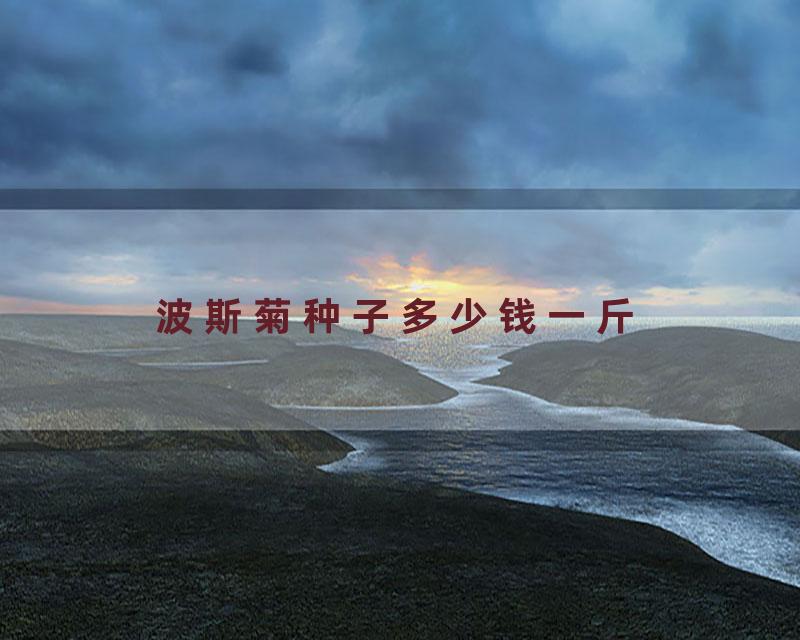 波斯菊种子多少钱一斤