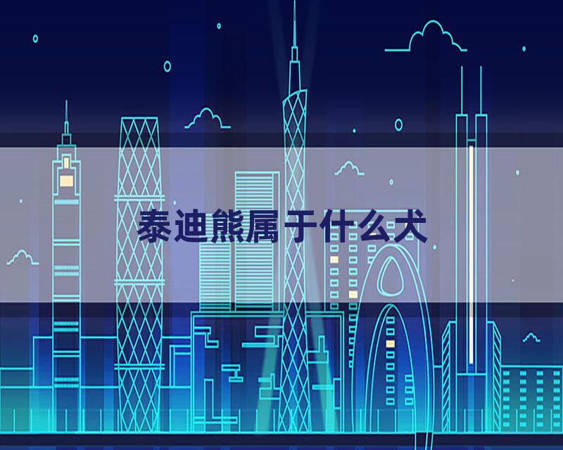 泰迪熊属于什么犬