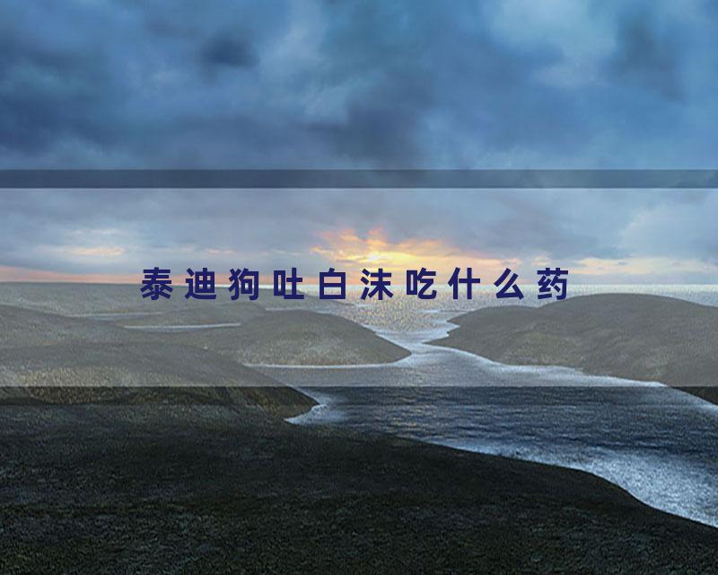 泰迪狗吐白沫吃什么药
