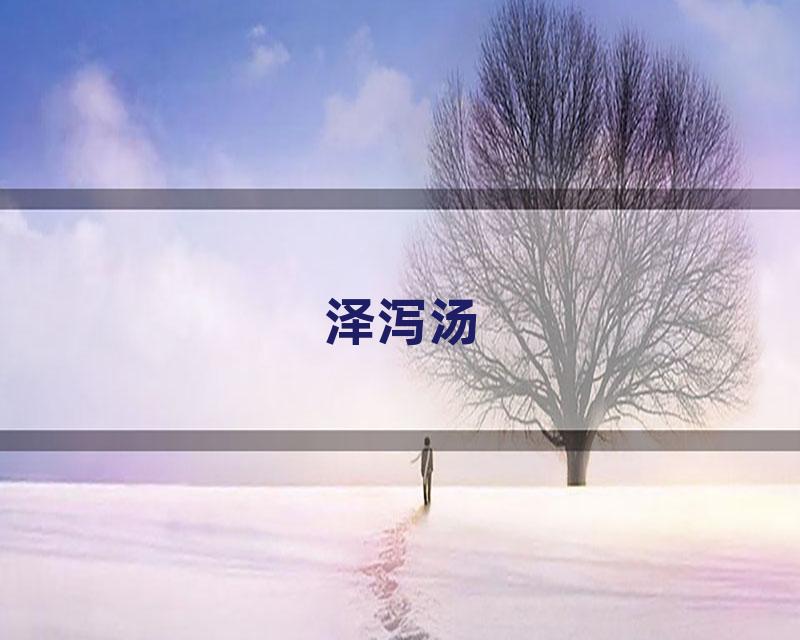 泽泻汤