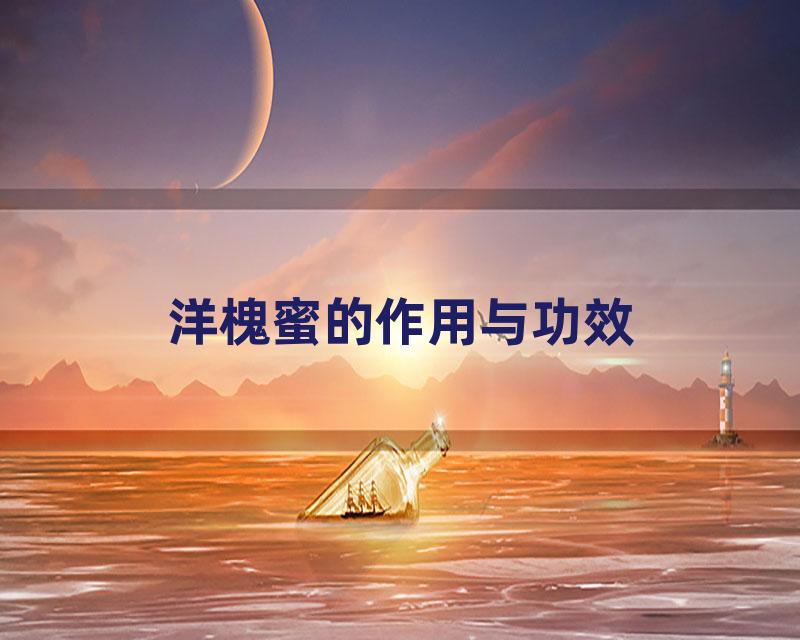 洋槐蜜的作用与功效