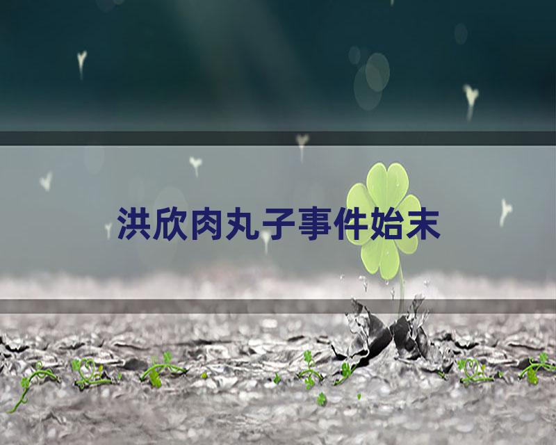 洪欣肉丸子事件始末