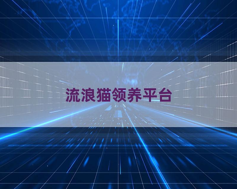 流浪猫领养平台