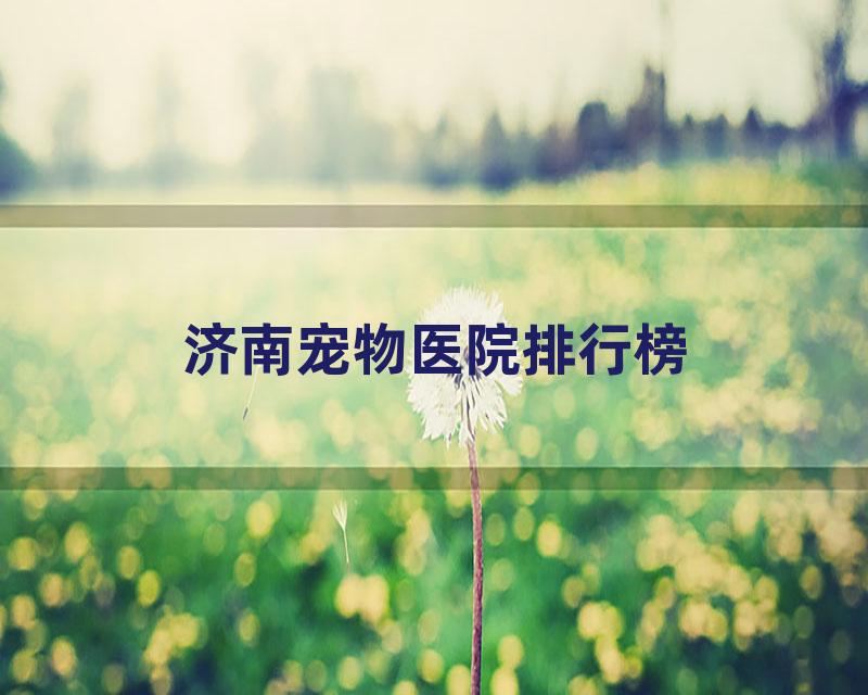 济南宠物医院排行榜