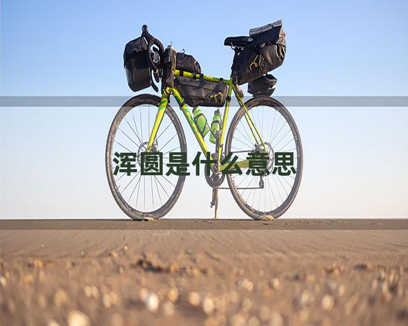 浑圆是什么意思