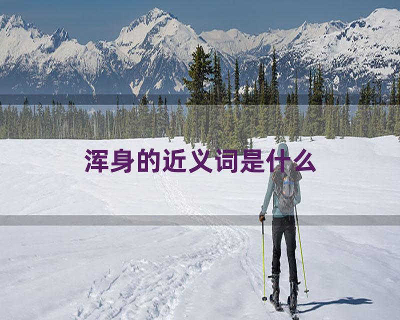 浑身的近义词是什么