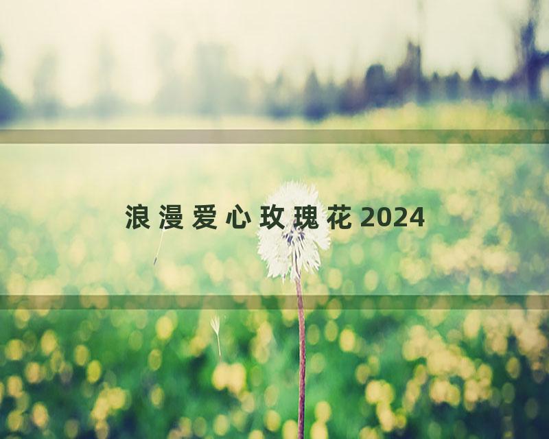浪漫爱心玫瑰花2024