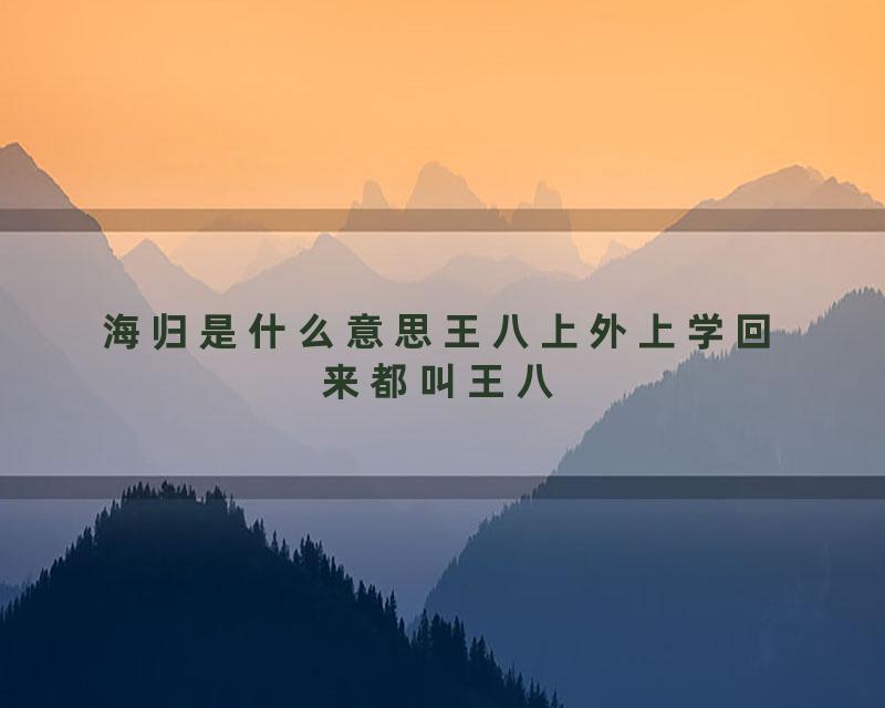 海归是什么意思王八上外上学回来都叫王八