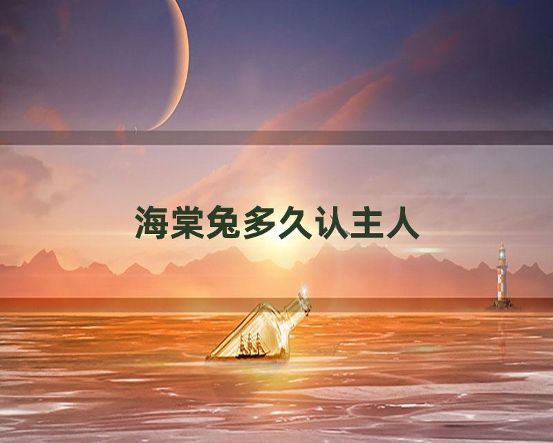 海棠兔多久认主人