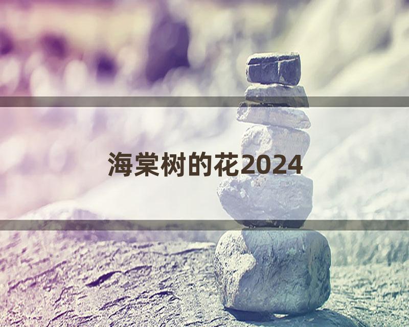 海棠树的花2024