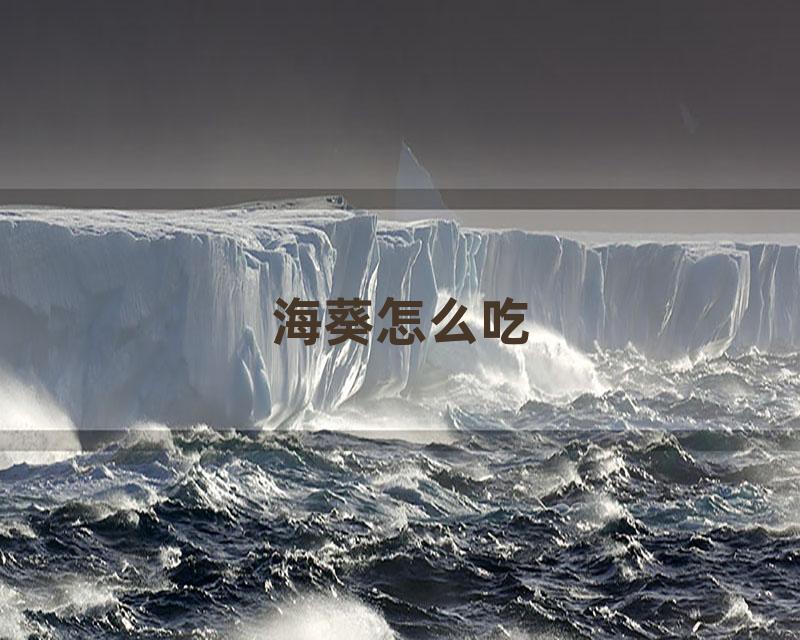 海葵怎么吃