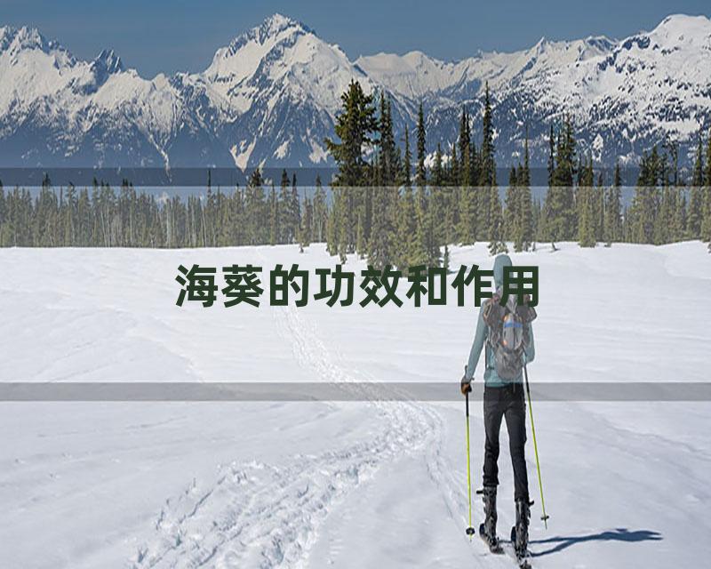 海葵的功效和作用