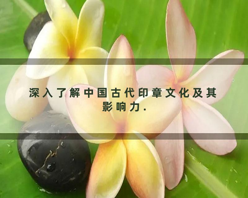 深入了解中国古代印章文化及其影响力.