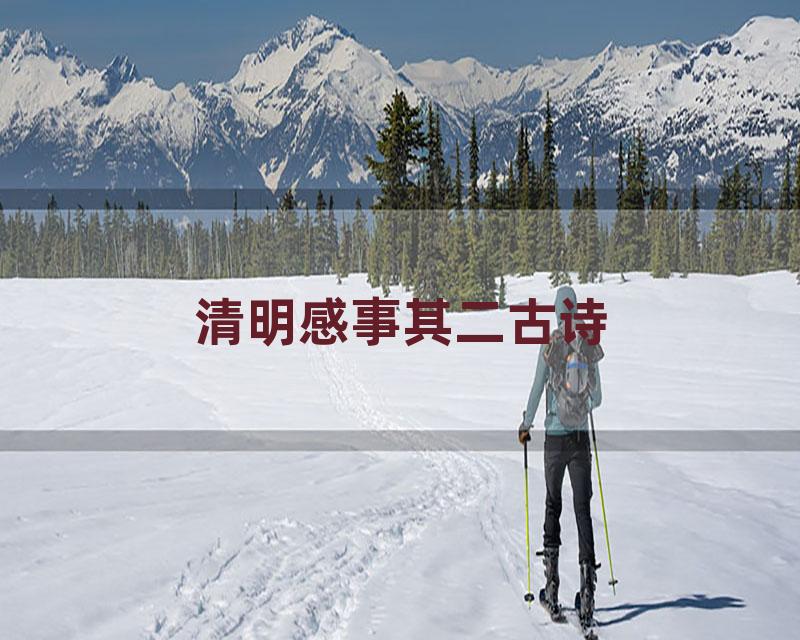清明感事其二古诗