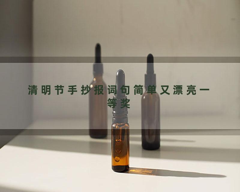 清明节手抄报词句简单又漂亮一等奖