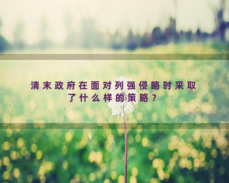 清末政府在面对列强侵略时采取了什么样的策略？