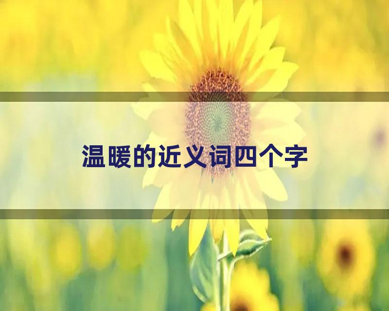 温暖的近义词四个字
