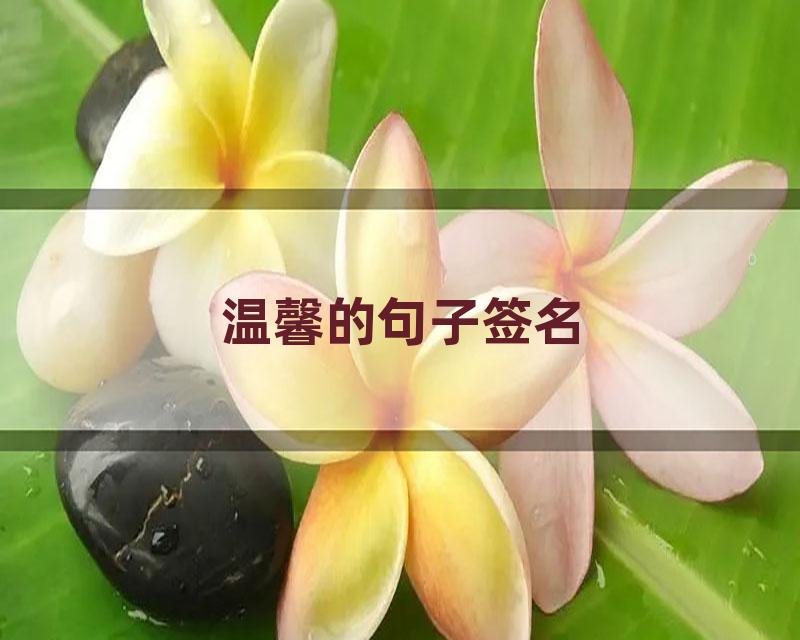 温馨的句子签名